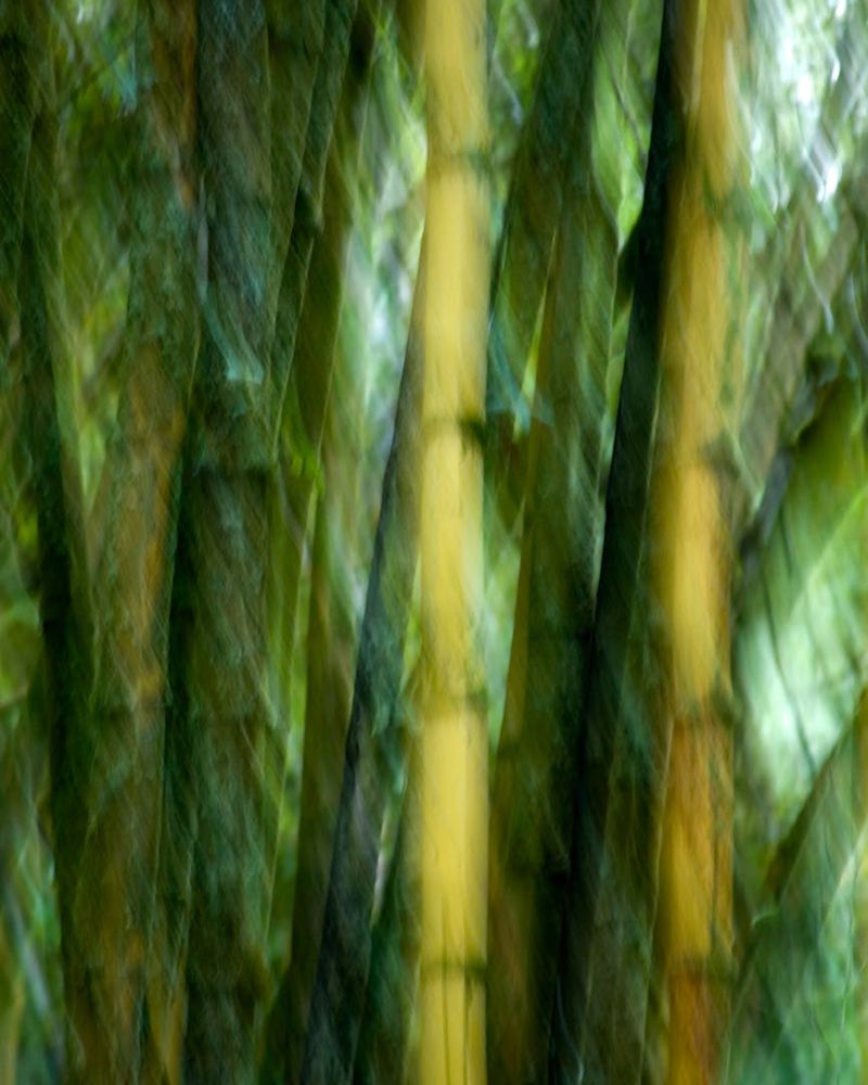 Abstract botanical textures representing natural ingredients and vitality